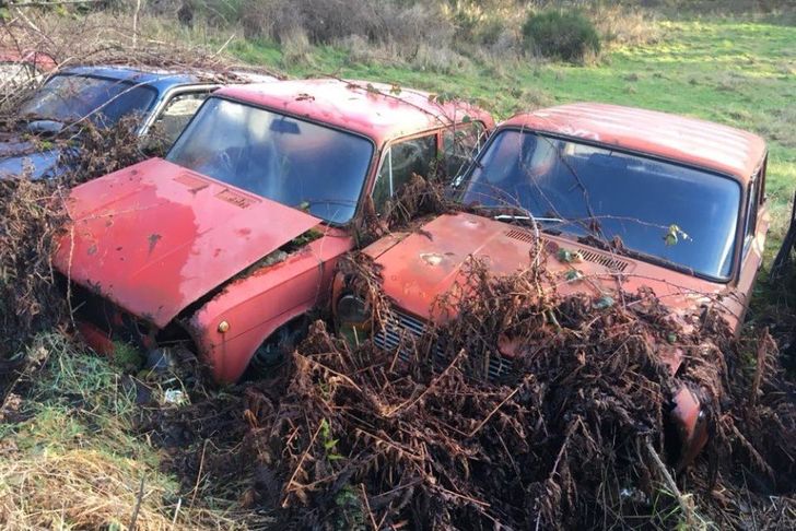 В Великобритании нашли кладбище редких советских автомобилей