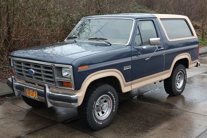 Ford Bronco. Joost J. Bakker