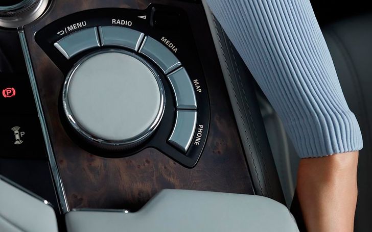 Элемент управления медиасистемой Aurus