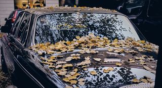 Автомобиль осенью