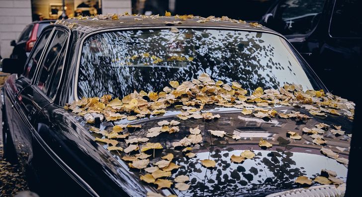 Автомобиль осенью