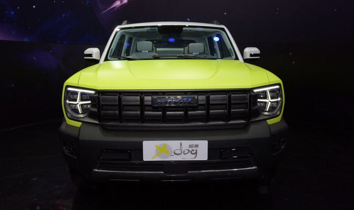 Haval X-Dog