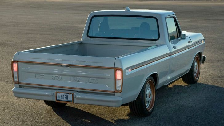 Ford F-100 Eluminator