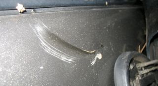 Царапина на кузове
