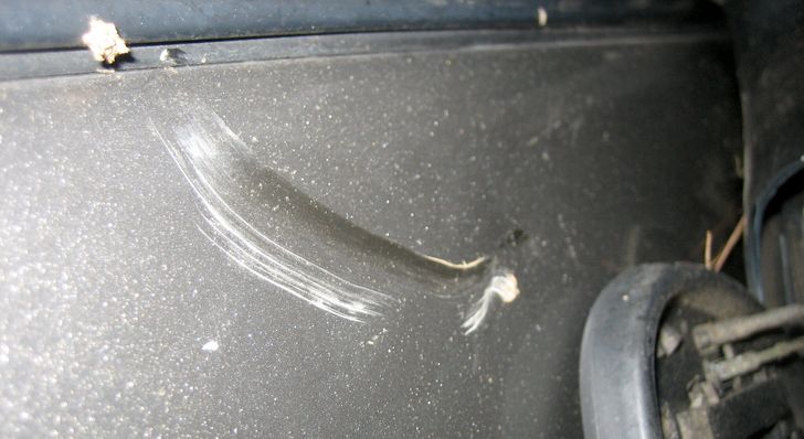 Царапина на кузове