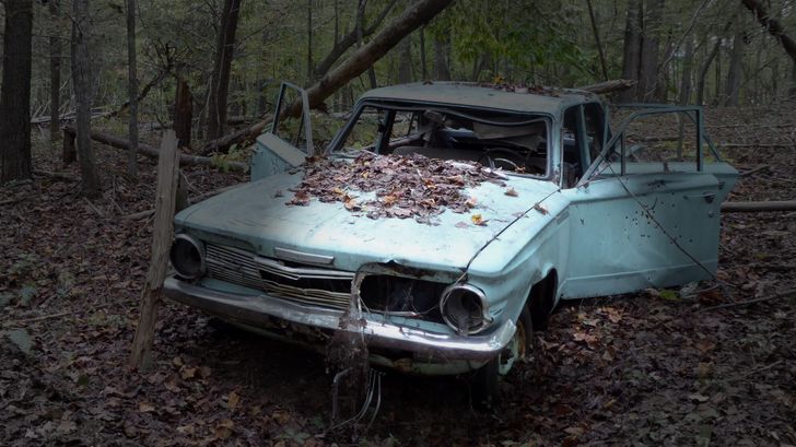 Водителям в РФ разъяснили, как не купить распиленную или утопленную автомашину из Японии