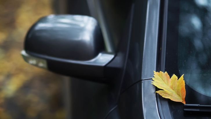 Автомобиль осенью