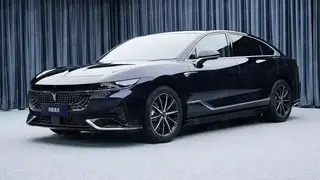 Гибридный Voyah Passion