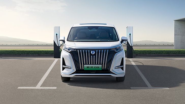 Denza D9 2024 года