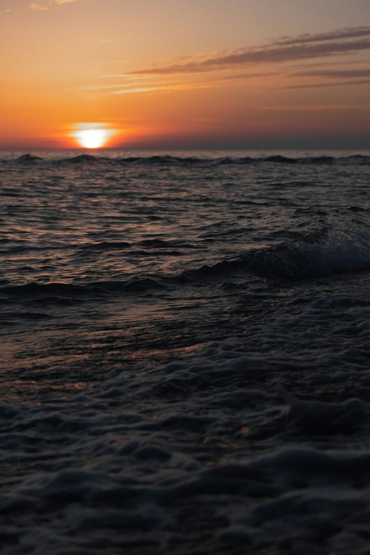 «Авито» поможет устранить последствия разлива мазута в Черном море