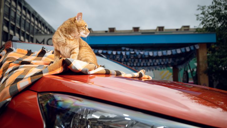 Рыжий на LADA Iskra