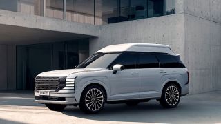 Hyundai Palisade High Roof