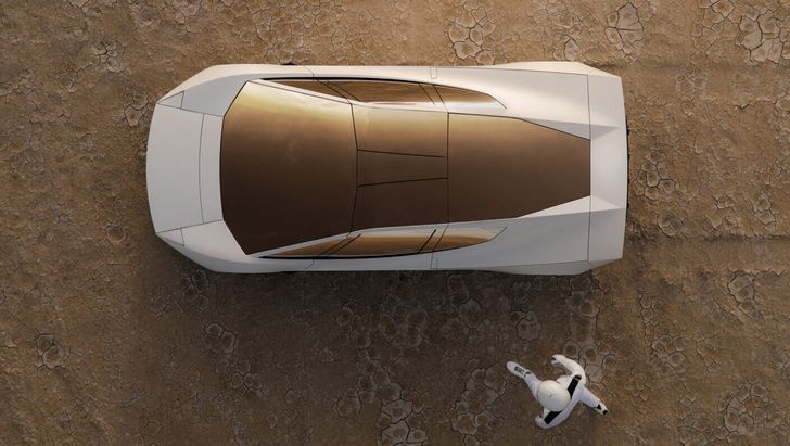 Tesla Roaster